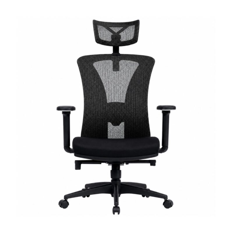 Cadeira Presidente BlumeOffice BLM-0241 em vista frontal com tela mesh, apoio lombar e braços reguláveis.