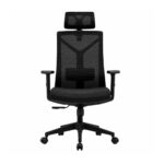 Cadeira presidente ergonômica preta em vista frontal, com encosto em tela mesh, apoio lombar, braços reguláveis e assento estofado.