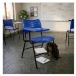 Cadeira Universitária Plástica Prancheta PLÁSTICA - COR AZUL - 54013
