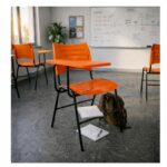 Cadeira Universitária Plástica Prancheta PLÁSTICA - COR LARANJA - 54009