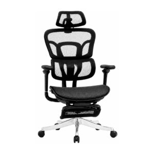 Cadeira Presidente Ergonômica Everest NR17 com Tela Mesh